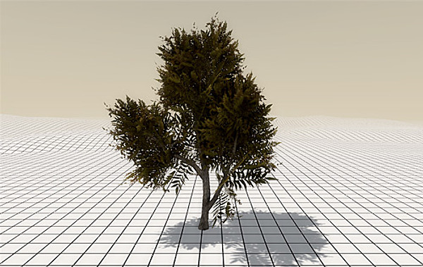 afghan vegetation 24 tree 3d max - 24 Afghan Vegetation Models by pure3dviz